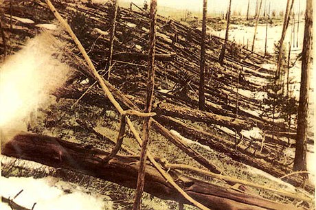 Zkáza lesa způsobená výbuchem, fotografie Kulikovy výpravy z roku 1927