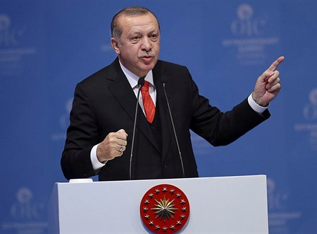 Erdogan na mimoádném zasedání Organizace islámské spolupráce v Istanbulu.