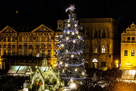 Vánoční strom na Staroměstském náměstí v Praze.