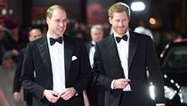 Britt princov William a Harry na premie novho dlu Hvzdnch vlek.