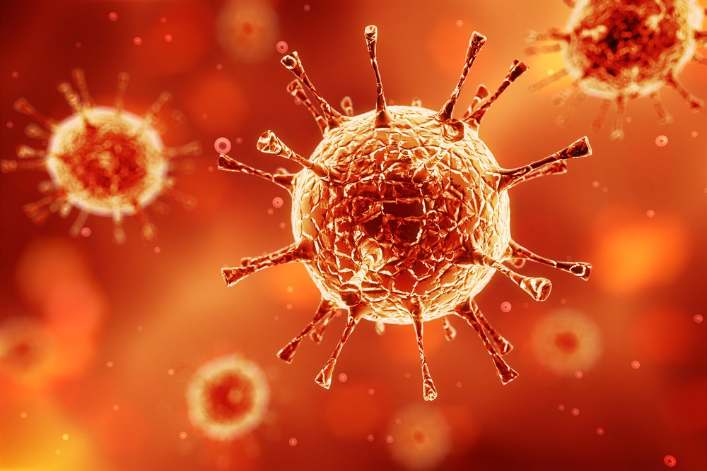Virus (ilustra�ní foto)