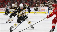 NHL: Pastrk bodoval podest v ad, Pavelec stdal Lundqvista