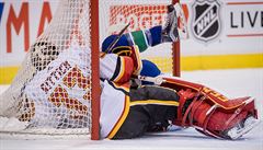 NHL: Rittich vychytal v NHL vhru, Vrbata se trefil poprv od jna