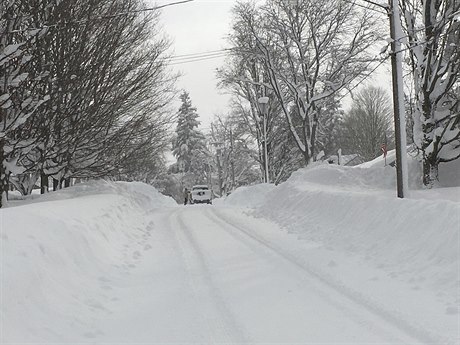 sníh (ilustrační snímek)