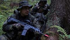 P�ípravy na území �R