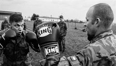 P�ípravy na území �R