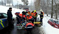 idi, kter vybrovnm zpsobil kolizi aut a smrt kojence, si odpyk 11 let