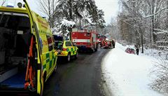 U nehody zasahovala jednotka profesionálních hasi z Kraslic a dobrovolných z...