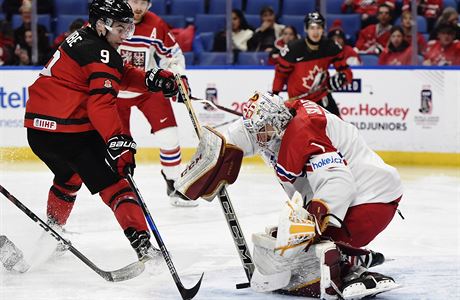 Dillon Dube (9) pi zsahu Jakuba Skareka (1)