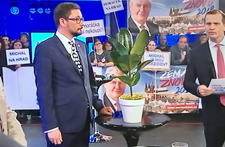 Mluví prezidenta Miloe Zemana pinesl do debaty na TV Barrandov s sebou fíkus.
