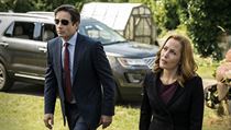 Mulder a Scullyová