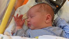 Prvním díttem narozeným v roce 2018 v Ústeckém kraji je Jakub Hrabal.