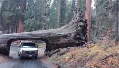 Prozkoumali jsme známá místa jako napíklad Národní park Sequoia i krásy...