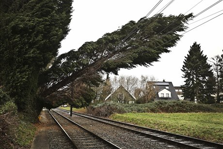 Na Kolínsku zkomplikoval dopravu spadlý strom (ilustrační snímek).