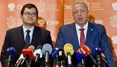 ČSSD bude chtít po vládě vysvětlení dodatku k memorandu o lithiu