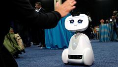 Buddy. Robot, který vám má asistovat i bavit vás. | na serveru Lidovky.cz | aktuální zprávy