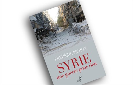 Frédéric Pichon, Syrie: Une guerre pour rien