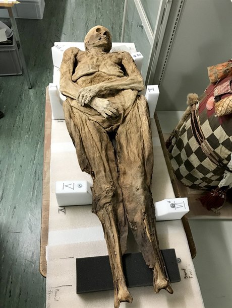 Mumifikované tlo objevené ped desetiletími v Basileji patilo bohaté en z...