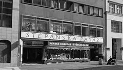 Elegantní funkcionalistické �in�ovní domy v podání Eugena Rosenberga: �t�pánská...