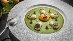 Designérkou Palomy je Monika Babi�ová.