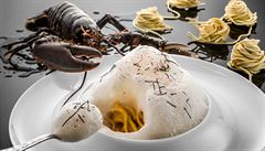 Medailonky z humra konfitované na poloslaném másle, podávané s domácími...