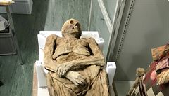 Mumie z Basileje byla podle vdc pedkem britskho ministra Borise Johnsona