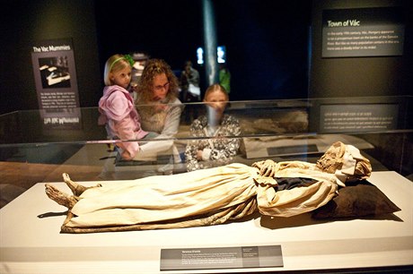 Mumifikovaná lidská i zvířecí těla z celého světa a předměty, které doprovázely...