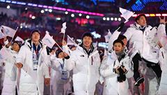 Radující se návtvníci olympijských her.