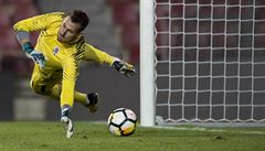 Fotbalov� brank�� Martin D�bravka.