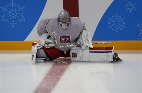 eskou jednikou pro úvodní utkání hokejového turnaje je Pavel Francouz.