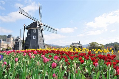 Nizozemsko - ilustrační foto
