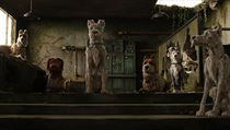 Animovan snmek Ostrov ps. Reie: Wes Anderson.