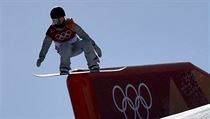 Jamie Andersonov z USA pi finle slopestyle na olympijskch hrch v...