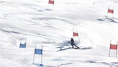 XXIII. zimní olympijské hry, sjezdové lyování, obí slalom, eny, 15. února v...