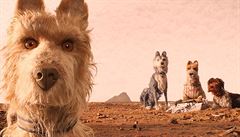 Animovaný snímek Ostrov psů. Režie: Wes Anderson. | na serveru Lidovky.cz | aktuální zprávy
