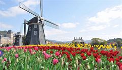 UNESCO dodalo nový vítr nizozemským mlýnům