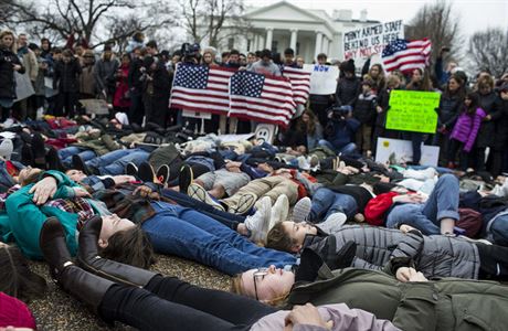 Demonstrace proti liberlnm zkonm tkajcch se dren zbran ve Washingtonu.