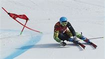 Simon Breitfuss Kammerlander na olympijskch hrch v Pchjongchangu.