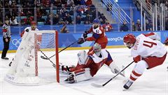 Ruský hokejista Vladislav Gavrikov (4) pekonává Pavla Francouze v zápase esko...