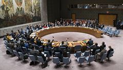 Rada bezpenosti OSN schvlila rezoluci poadujc 30denn pm v Srii
