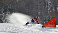Ester Ledecká pi finálové jízd paralelního obího slalomu