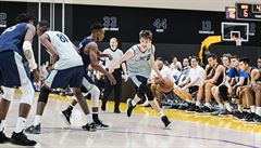 eský basketbalista Vít Krejí najídí do koe pi utkání na prestiním kempu...