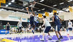 eský basketbalista Vít Krejí najídí do koe pi utkání na prestiním kempu...
