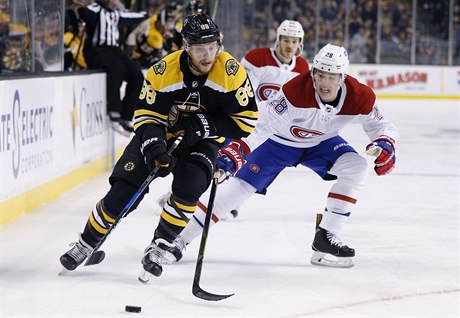 David Pastr�ák (vlevo) b�hem zápasu.