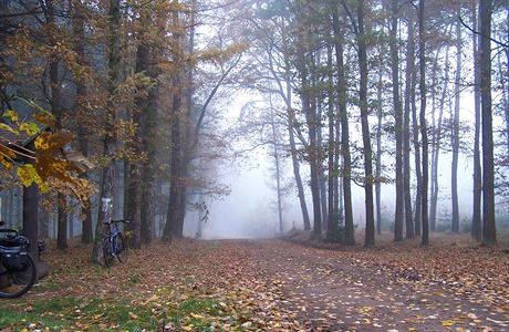 Podzimn mlhy u eperky, jen 2013