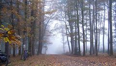 Podzimní mlhy u eperky, íjen 2013