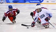 Amerian Brody Roybal kontroluje kootou v zápase sledge hokejist R vs. USA...