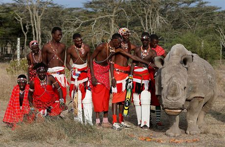 Domorod kmen Masaj, se fot s nosorocem Sdnem.