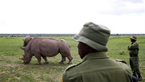Poslední žijící samice severního bílého nosorožce Nájin a její dcera Fatu.
