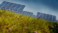 Stát chce úplně přestat podporovat solární elektrárny na polích 